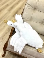 غاز بالشتی - تصویر 4
